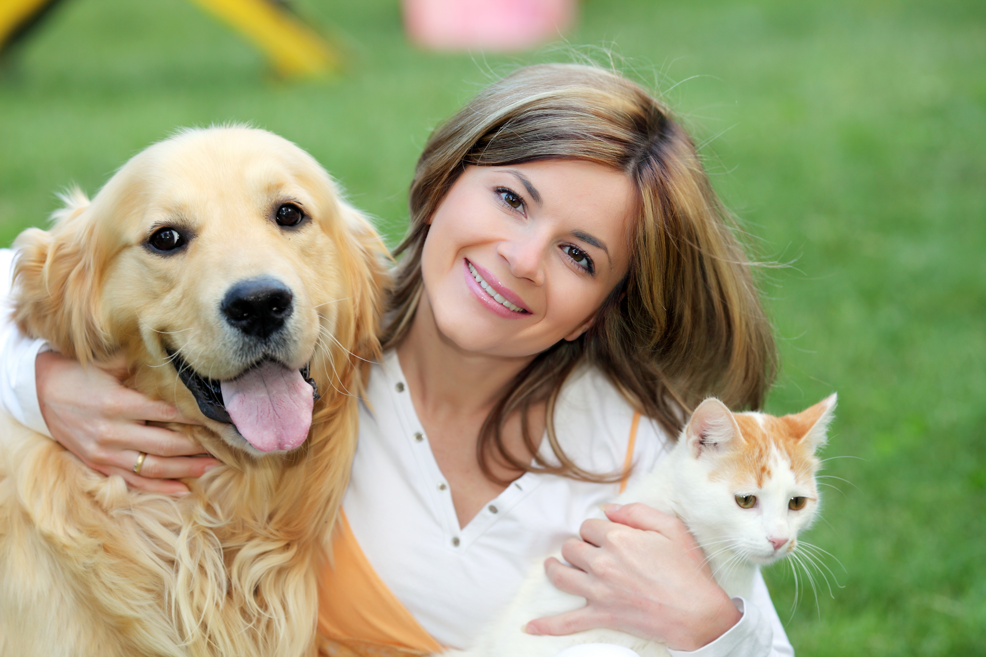 Pet Elixir